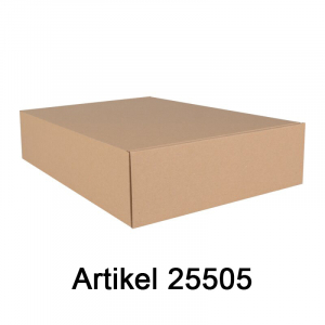 Karton für DHL-Kleinpaket-Sendungen